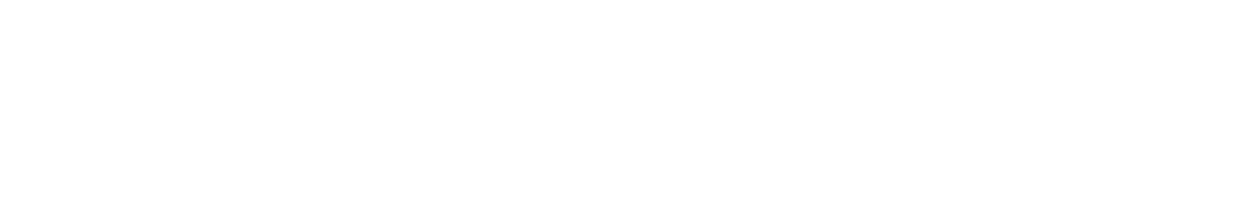BLV Insurance